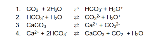 Reactievergelijkingen